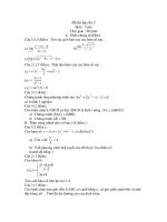 Đề KT Toán 11 HK II_1