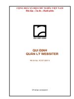 quy định về quản lý websiter