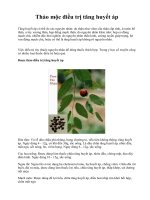 Thảo mộc điều trị tăng huyết áp pdf