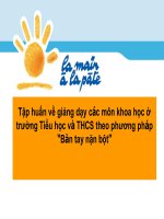 Tập huấn về giảng dạy các môn khoa học ở trường Tiểu học và THCS theo phương pháp “Bàn tay nặn bột”