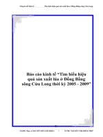 Báo cáo kinh tế “Tìm hiểu hiệu quả sản xuất lúa ở Đồng Bằng sông Cửu Long thời kỳ 2005 - 2009” ppt
