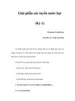 Giải phẫu các tuyến nước bọt (Kỳ 1) potx