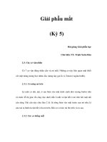 Giải phẫu mắt (Kỳ 5) pptx