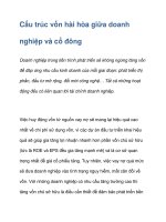 Cấu trúc vốn hài hòa giữa doanh nghiệp và cổ đông ppt