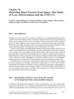 Springer Old Growth Forests - Chapter 18 ppt