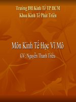 KInh tế vĩ mô-Nhập môn KT Vĩ Mô docx