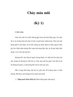 Chảy máu mũi (Kỳ 1) potx