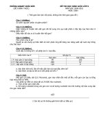 đề và đa HSG hoài đức 09-10