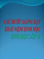 CÁC BƯỚC GiẢNG DẠY KHÁI NiỆM SINH HỌC (SINH HỌC LỚP 10) pot