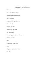 Cấp giấp phép vận chuyển đặc biệt. ppsx