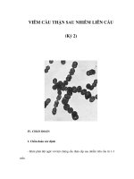 VIÊM CẦU THẬN SAU NHIỄM LIÊN CẦU (Kỳ 2) doc