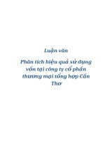 Đề tài “ Phân tích hiệu quả sử dụng vốn tại công ty cổ phần thương mại tổng hợp Cần Thơ” pptx