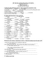 Đề HSG cap truong