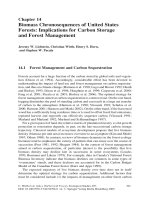 Springer Old Growth Forests - Chapter 14 pdf