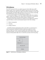 Microsoft SQL Server 2005 Developer’s Guide- P5 docx