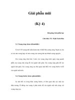 Giải phẫu mũi (Kỳ 4) ppsx