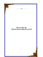 Báo cáo thực tập 