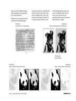 ADOBE INDESIGN CS2 REVEALED- P22 pdf