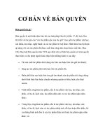 cơ bản về bản quyền