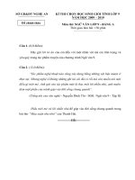 Đề HSG Văn Tỉnh 09-10