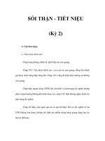 SỎI THẬN - TIẾT NIỆU (Kỳ 2) docx