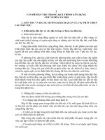 VẤN ĐỀ DÂN TỘC TRONG QUÁ TRÌNH XÂY DỰNG CHỦ NGHĨA XÃ HỘI