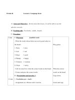 Giáo án Anh văn lớp 9 - Unit 6 The environment - Period 42 - Lesson 6 : Language focus docx