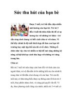 Sức thu hút của bạn bè pps