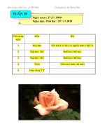 giaoanlop3 tuần 29 thứ 2,3