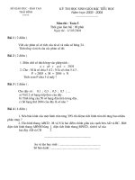 Đề thi HSG lớp 5 tỉnh Thái Bình 03-04