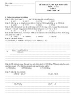 Đề thi HSG toán lớp 5