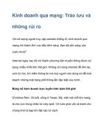 Kinh doanh qua mạng: Trào lưu và những rủi ro ppt