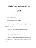 Siêu âm trong bệnh thận tiết niệu (Kỳ 3) docx