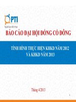 Báo cáo đại hội cổ đông tình hình thực hiện KHKD năm 2012 và KHKD năm 2013