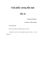 Giải phẫu xương đầu mặt (Kỳ 6) pdf