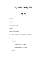 Gãy thân xương đùi (Kỳ 2) pps