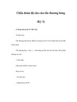 Chẩn đoán độ sâu của tổn thương bỏng (Kỳ 3) doc