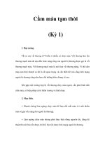 Cầm máu tạm thời (Kỳ 1) doc