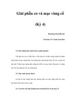 Giải phẫu cơ và mạc vùng cổ (Kỳ 4) ppsx