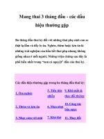 Mang thai 3 tháng đầu - các dấu hiệu thường gặp ppsx