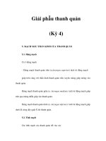 Giải phẫu thanh quản (Kỳ 4) potx