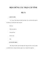 HỘI CHỨNG CẦU THẬN CẤP TÍNH (Kỳ 1) potx