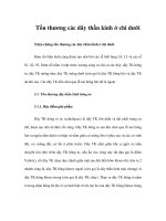 Tổn thương các dây thần kinh ở chi dưới pot