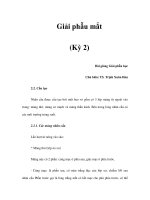 Giải phẫu mắt (Kỳ 2) pptx