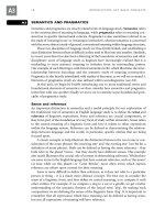 Introdungcing English language part 5 pptx