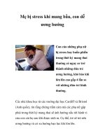 Mẹ bị stress khi mang bầu, con dễ ương bướng doc