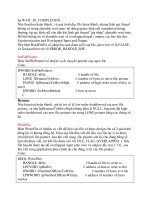 Cracker Handbook 1.0 part 28 pdf