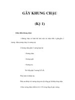 GÃY KHUNG CHẬU (Kỳ 1) docx