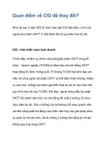 Quan điểm về CIO đã thay đổi? pdf