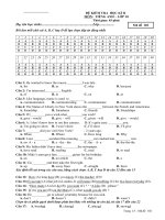 Thi thử HK II Anh_10 số 9